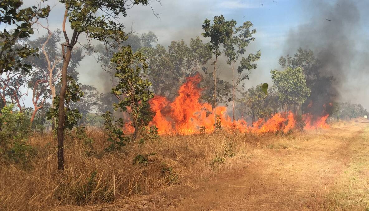 Bicentennial Road vegetation burns today